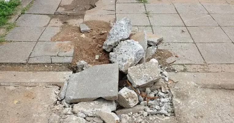 Driveway, Walkway and Step Repair